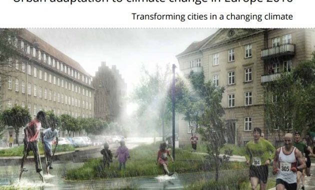 Trzy sposoby na adaptację miast do zmian klimatu