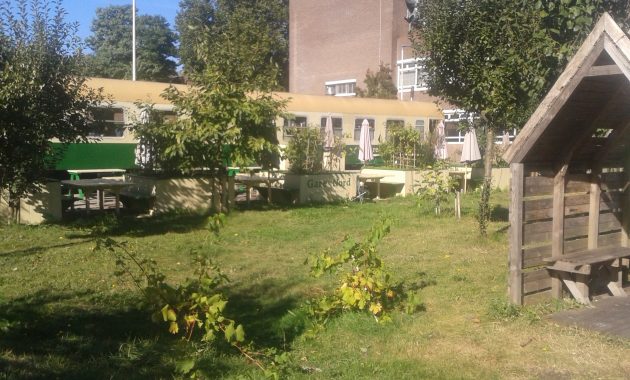 Owoce z sąsiedzkiego ogrodu