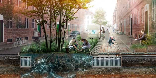 Adaptacja do zmian klimatu – innowacyjne rozwiązania prosto z Danii