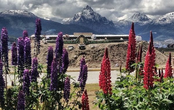 Earthshipy, czyli budynki z odpadów