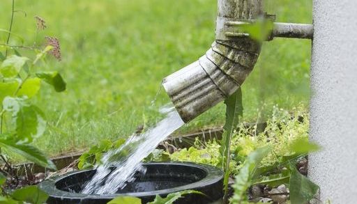 Katalog zielono-niebieski, czyli jak zagospodarować deszczówkę