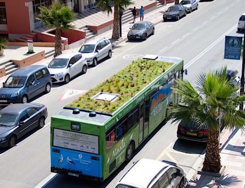 Autobusy też mogą mieć zielone dachy